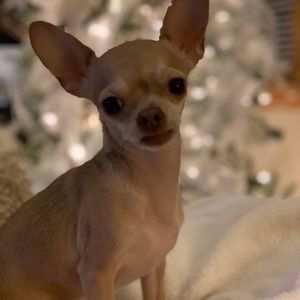 Meet your Posher, Summer